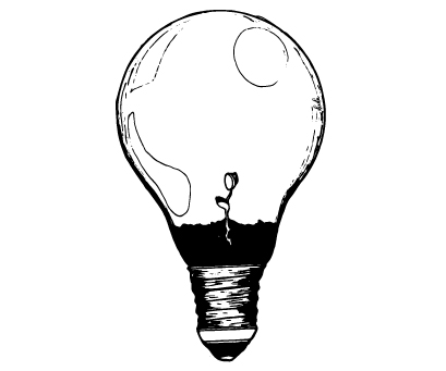 Une ampoule avec une graine qui commence à germer, pour illustrer la phase une qui est la phase d'exploration.